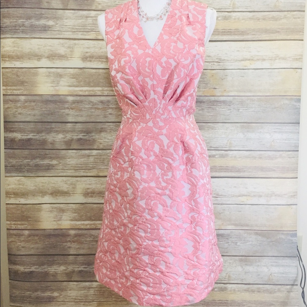 Adrianna Papell Pink Dress